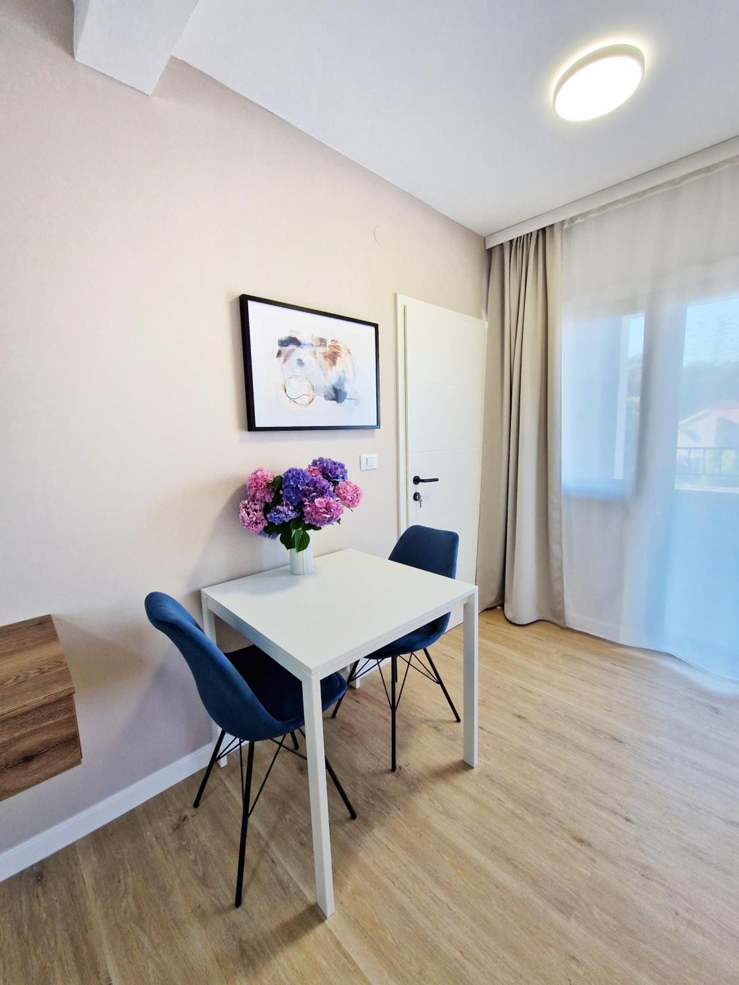 Apartments Jasna ロヴィニ エクステリア 写真