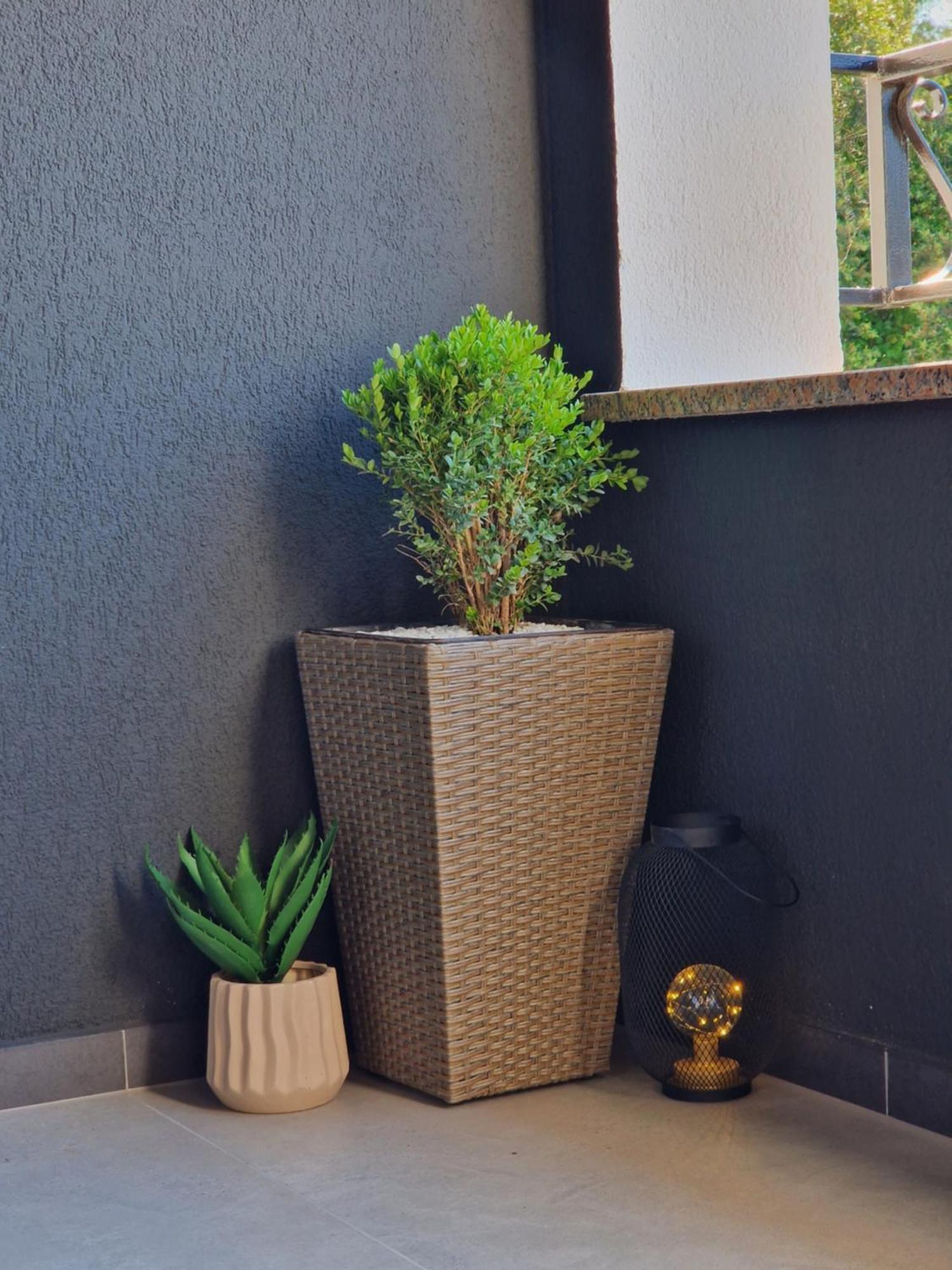 Apartments Jasna ロヴィニ 部屋 写真