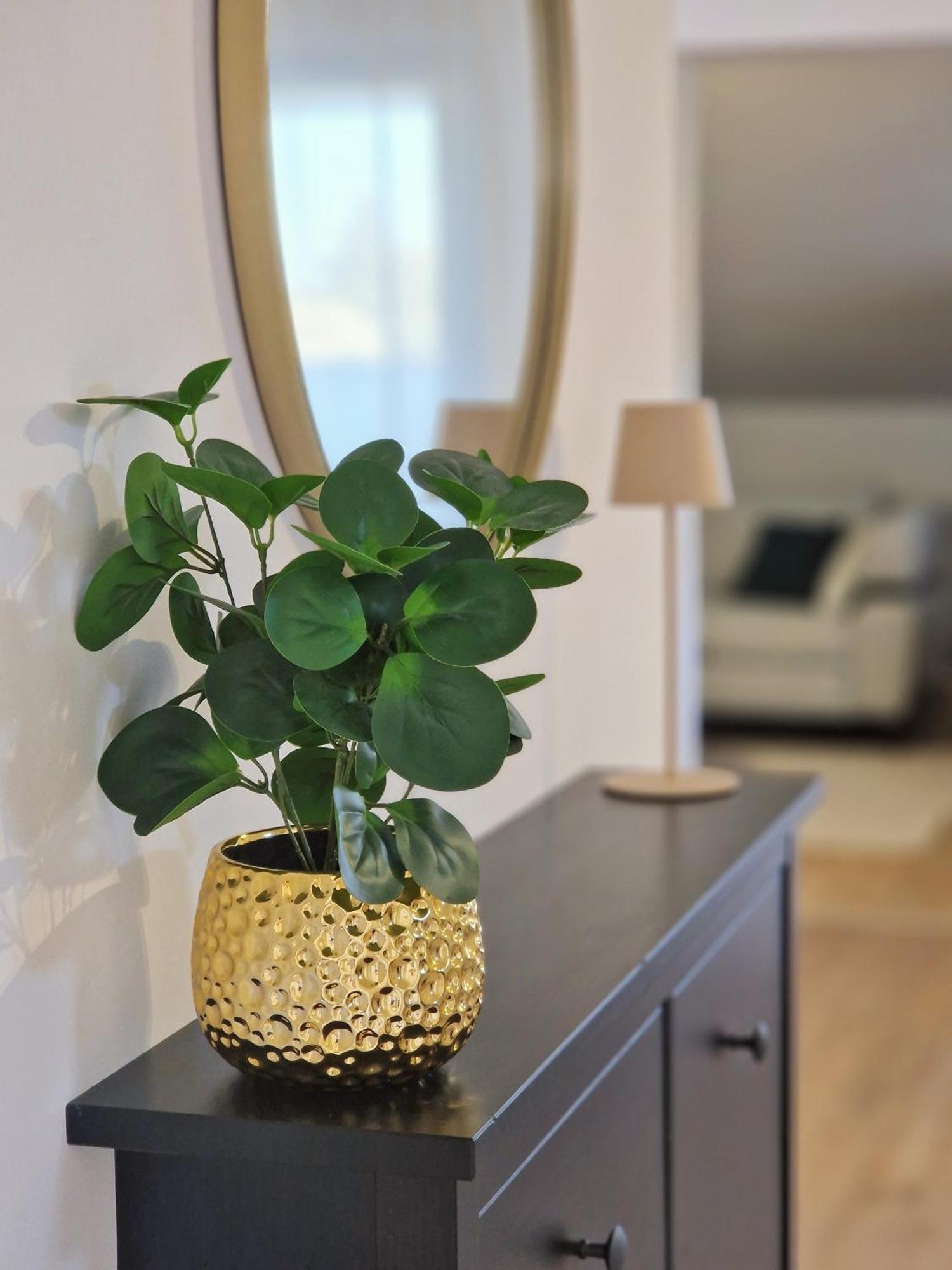 Apartments Jasna ロヴィニ エクステリア 写真
